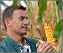 Maryland Syngenta GMO Lawsuits
