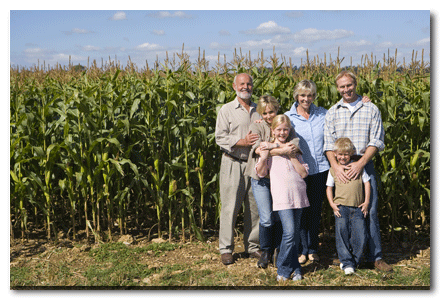 Bloomington Syngenta Viptera Corn Attorney