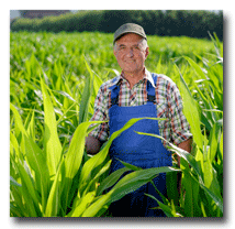 Syngenta Viptera Lawyers FAQ for Businesses in Des Moines